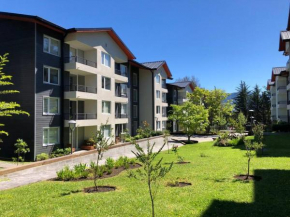 Hermoso departamento nuevo en pucon